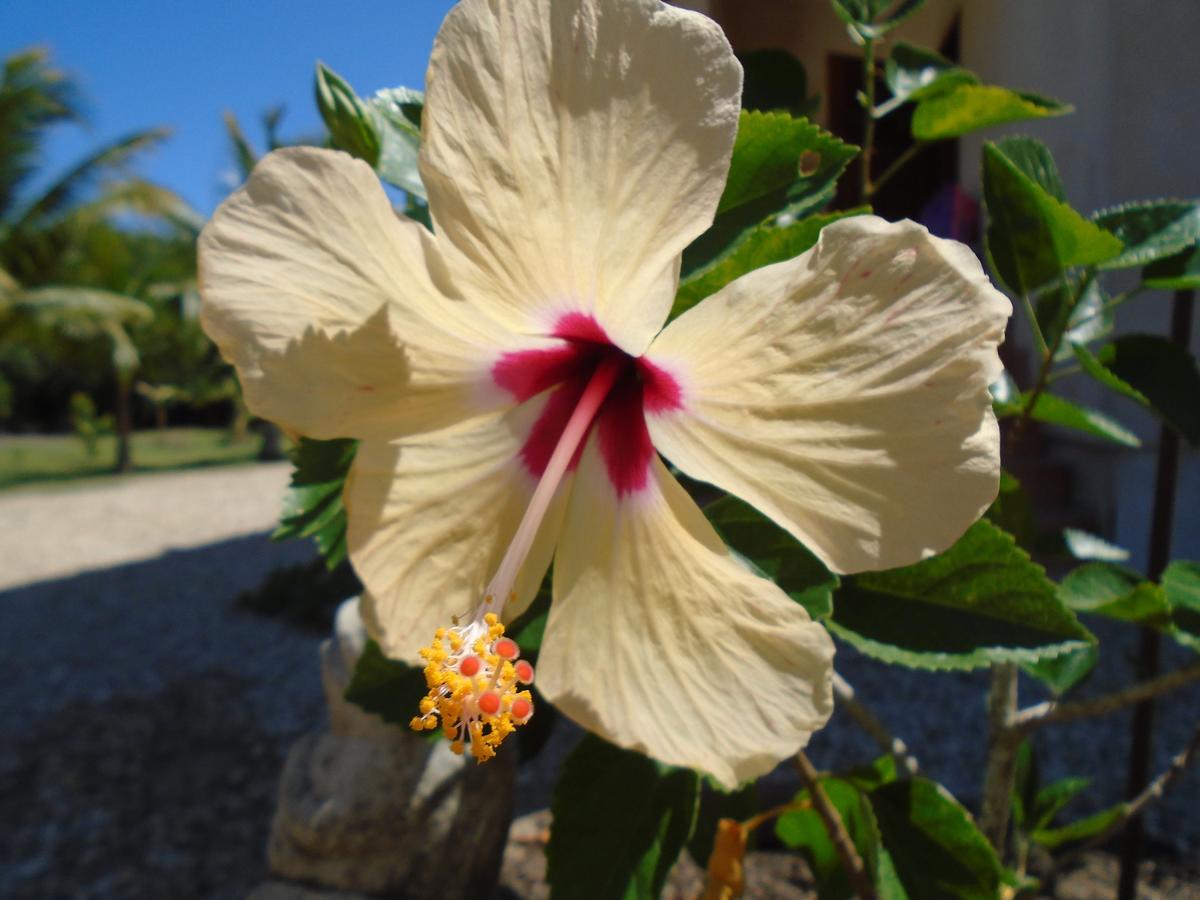 Serenity Sands Corozal Kültér fotó